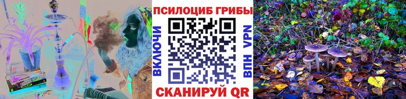 Псилоцибиновые грибы Cubensis  даркнет сайт  Моршанск 