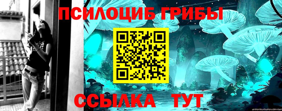 Галлюциногенные грибы MAGIC MUSHROOMS  Моршанск  где продают наркотики  Псилоцибиновые грибы Magic Shrooms 